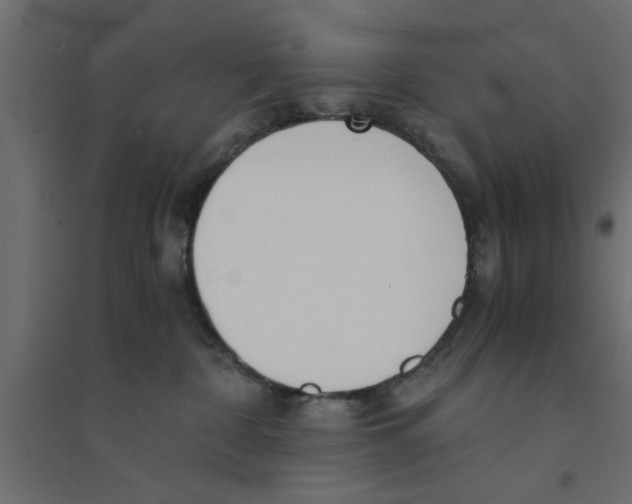 X0000094320332200711241812