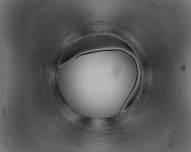 X0000094320333200711241812