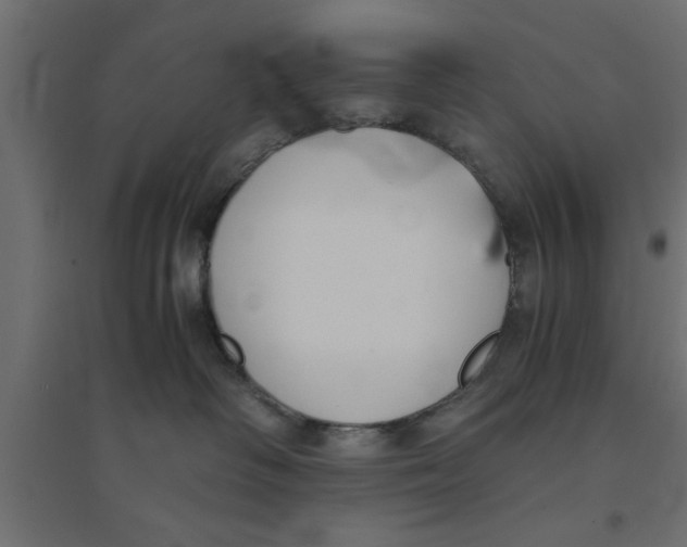 X0000094320334200711241812