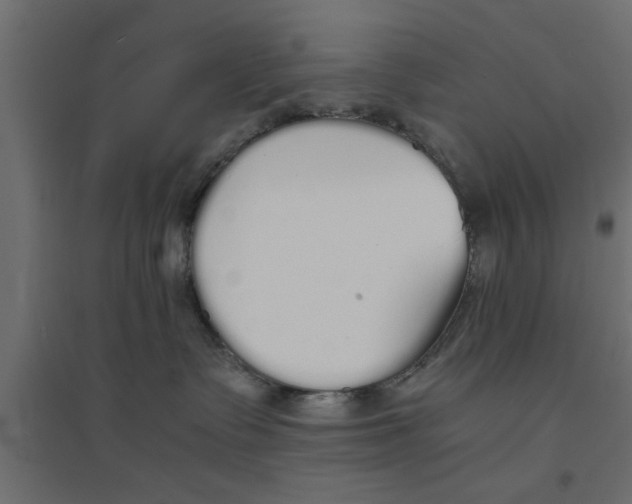 X0000094320335200711241812