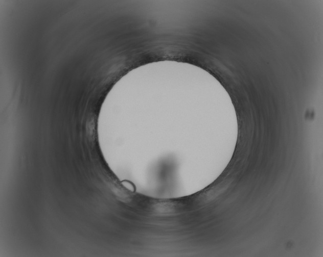 X0000094320336200711241812
