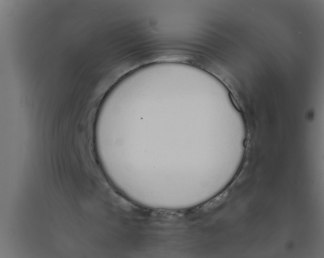 X0000094320337200711241812