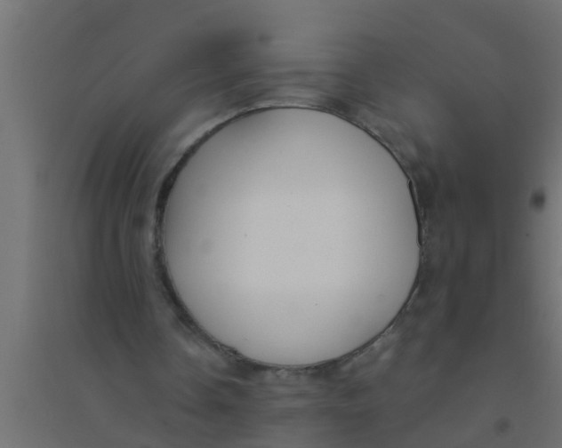 X0000094320338200711241812
