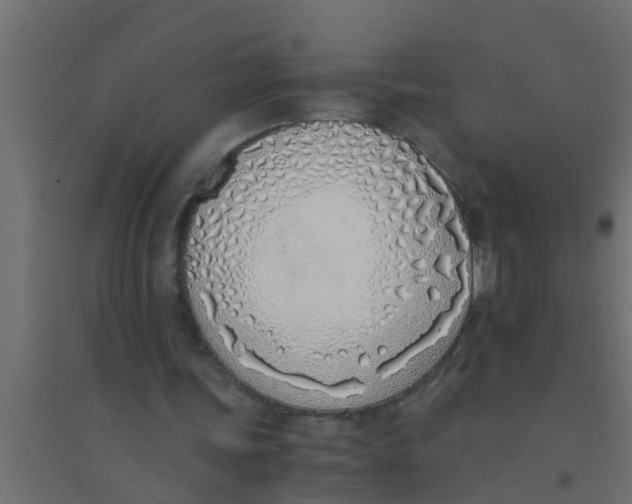 X0000094320339200711241812