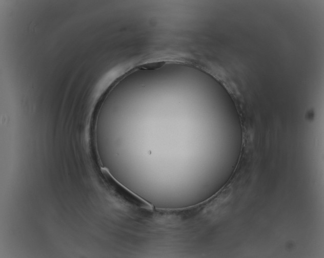X0000094320340200711241812