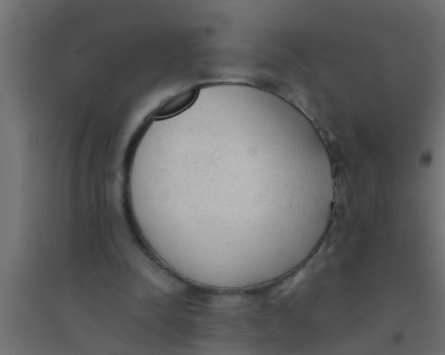 X0000094320342200711241812