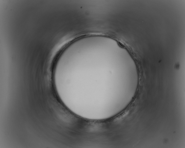 X0000094320343200711241812