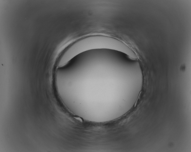 X0000094320344200711241812