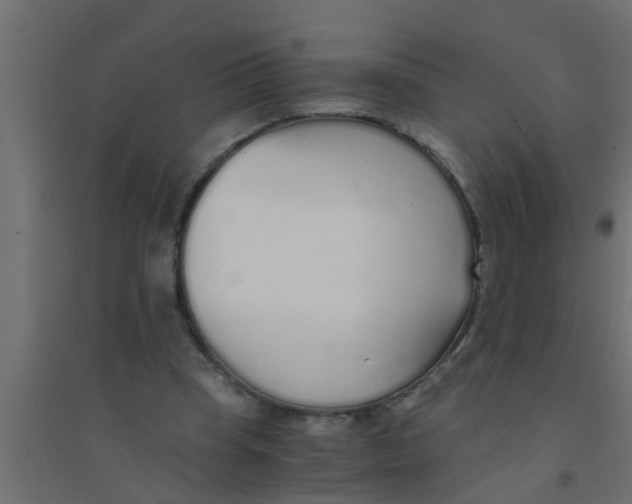 X0000094320345200711241812