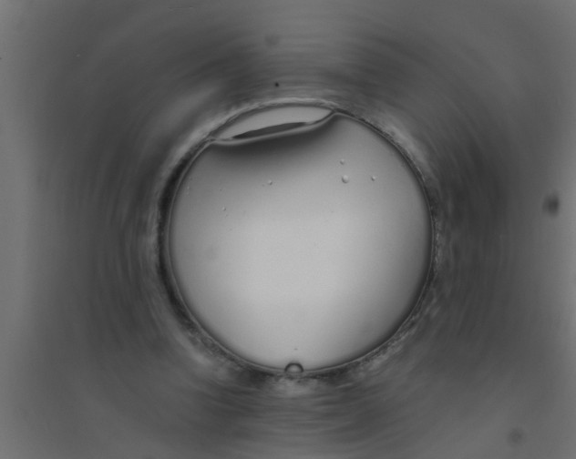 X0000094320346200711241812