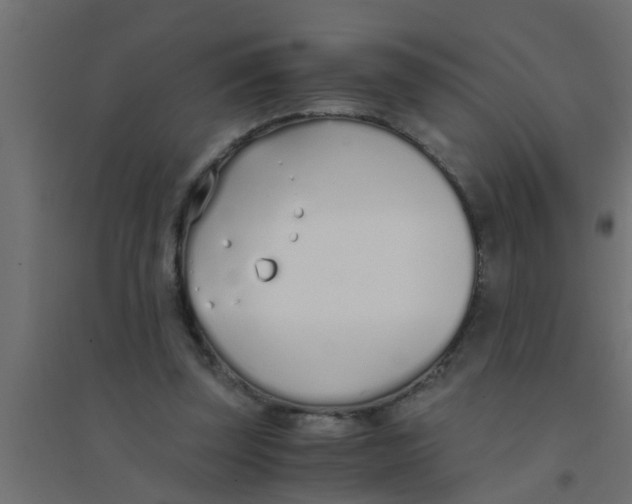 X0000094320347200711241812