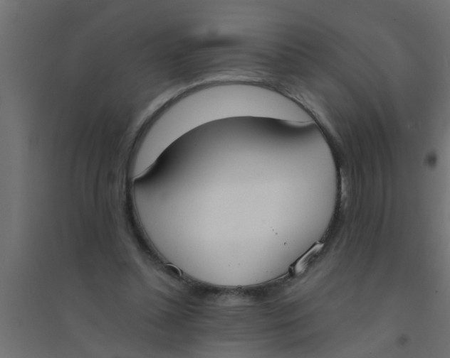 X0000094320348200711241812