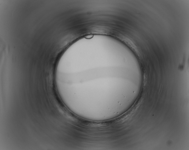 X0000094320349200711241812