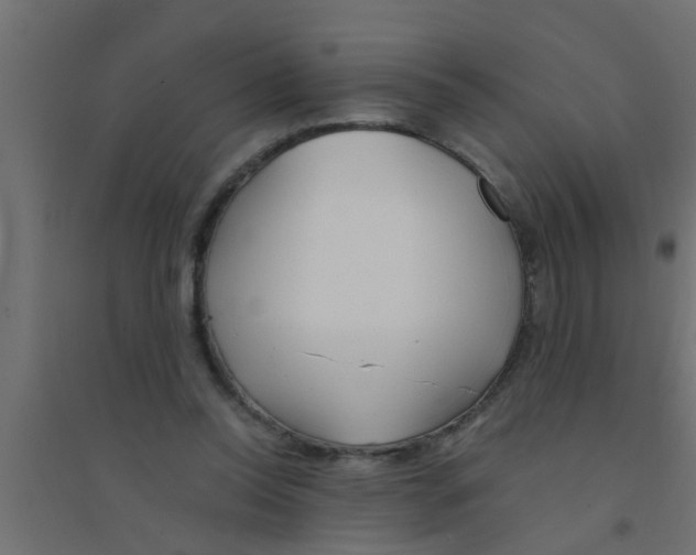 X0000094320350200711241812