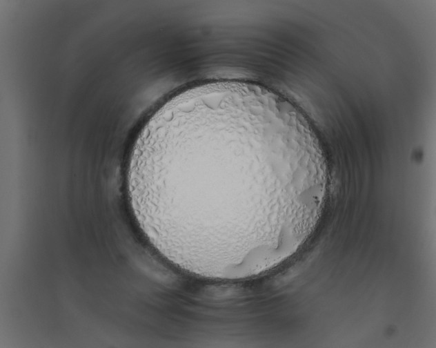 X0000094320351200711241812