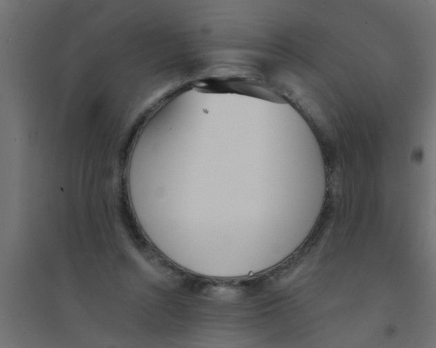 X0000094320352200711241812