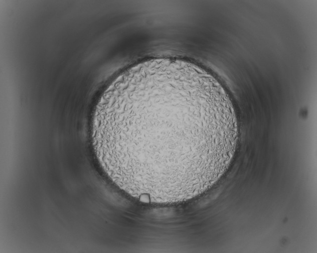 X0000094320353200711241812