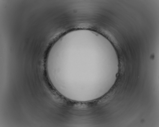 X0000094320354200711241812