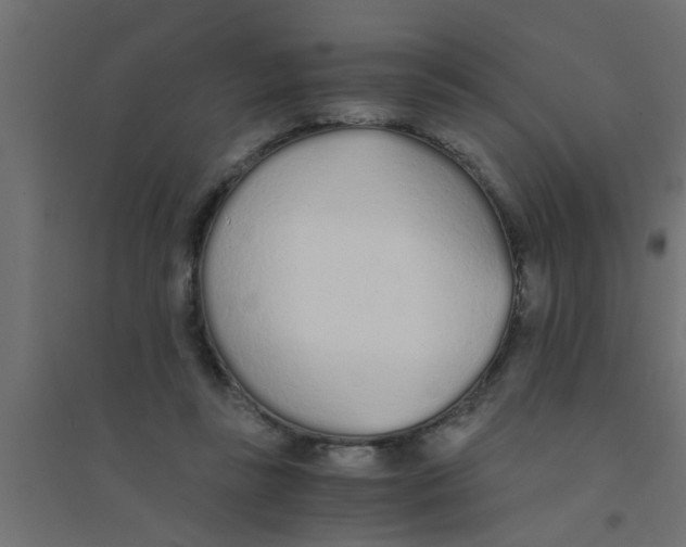 X0000094320355200711241812
