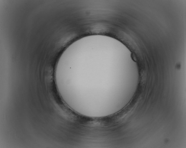 X0000094320356200711241812