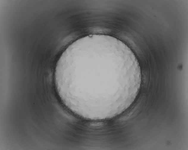 X0000094320357200711241812