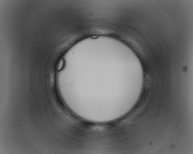 X0000094320358200711241812