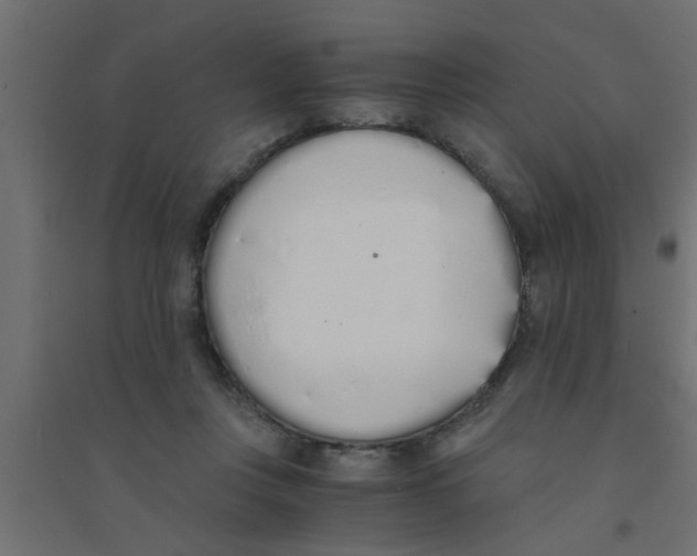 X0000094320359200711241812