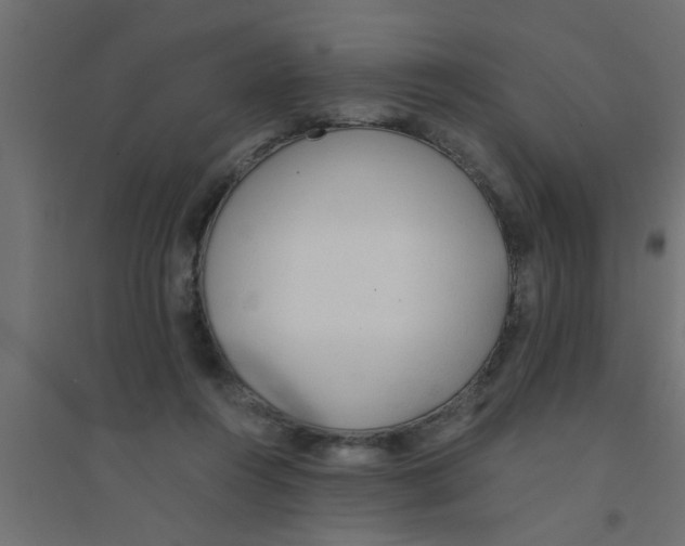 X0000094320360200711241812