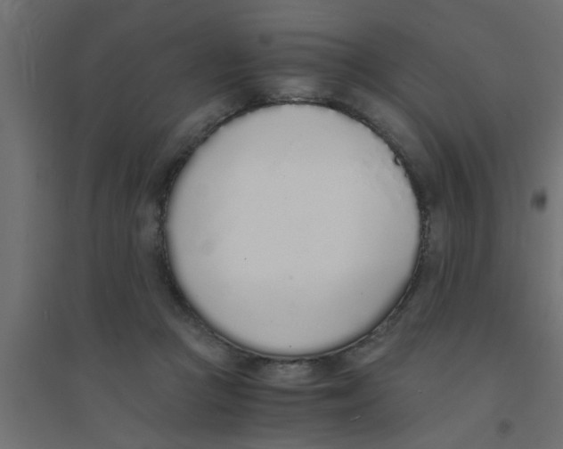 X0000094320361200711241812