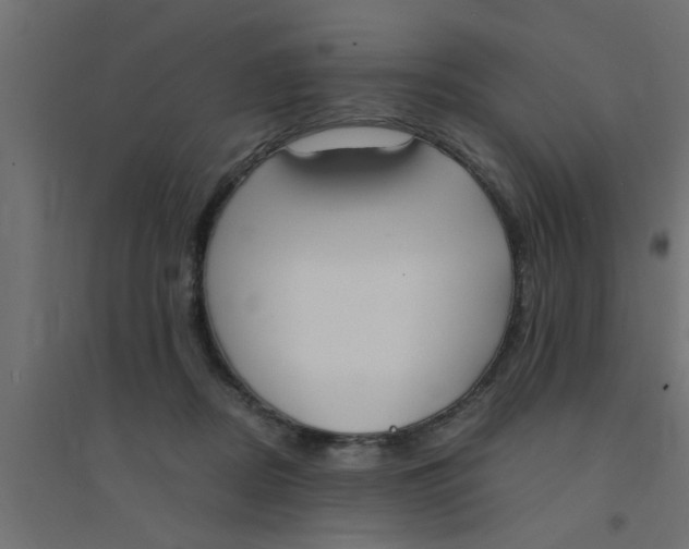 X0000094320362200711241812