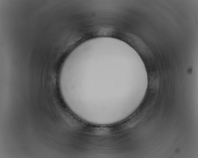 X0000094320363200711241812