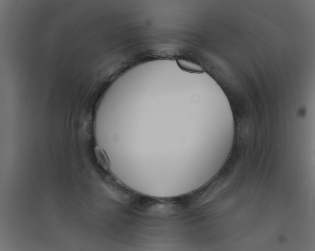 X0000094320364200711241812