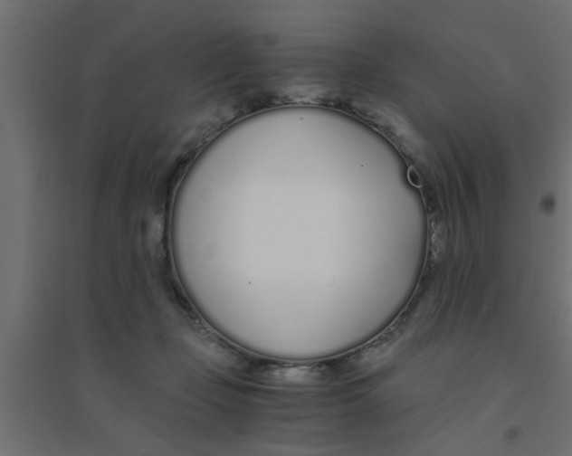 X0000094320365200711241812