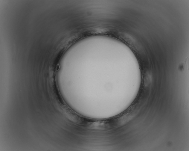 X0000094320366200711241812