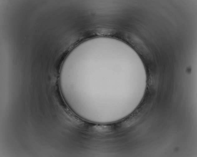 X0000094320367200711241812
