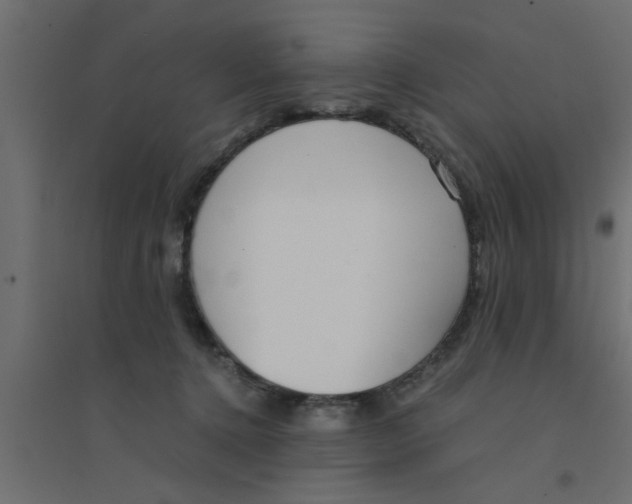 X0000094320368200711241812