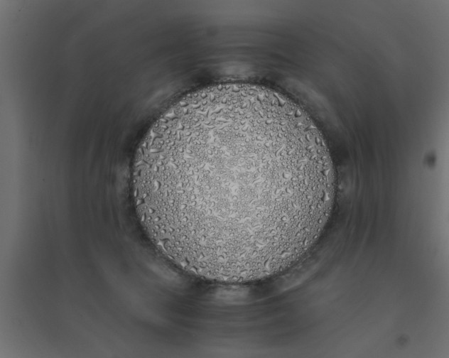 X0000094320369200711241812