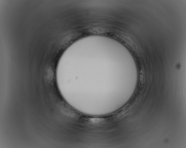 X0000094320371200711241812
