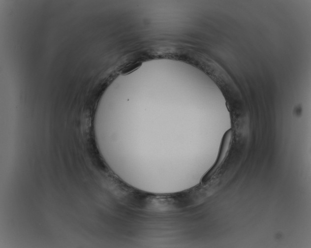 X0000094320372200711241812