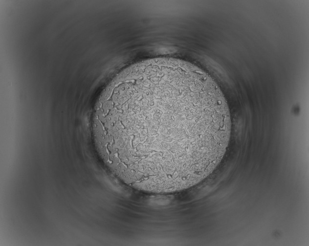 X0000094320373200711241812