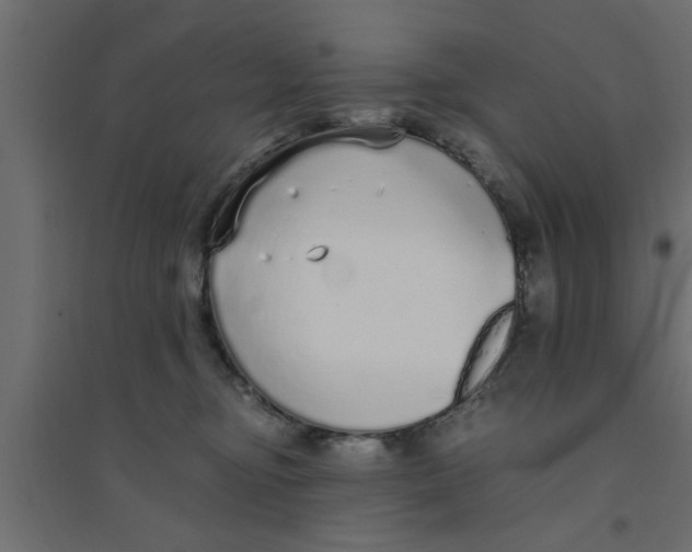X0000094320374200711241812