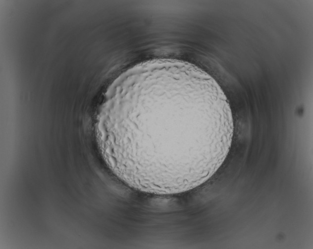 X0000094320375200711241812