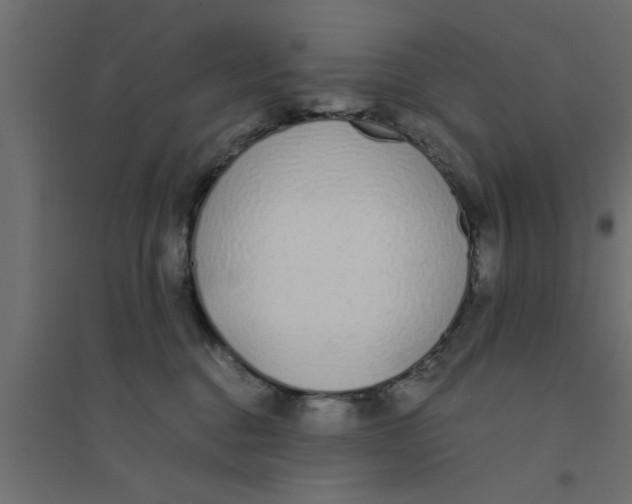 X0000094320376200711241812