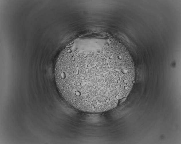 X0000094320377200711241812