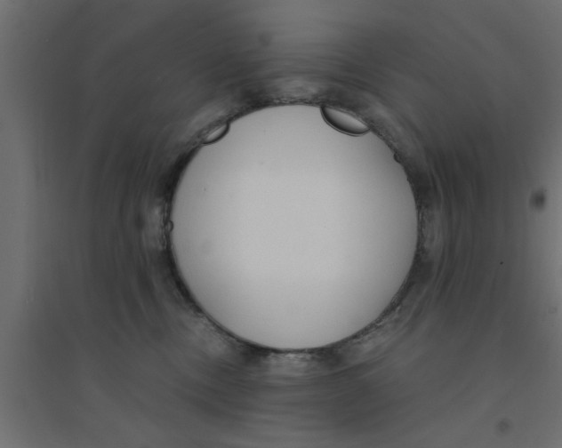X0000094320378200711241812