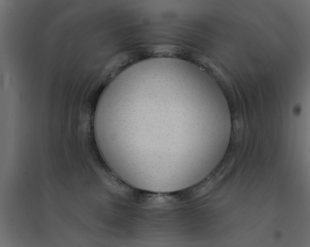 X0000094320379200711241812