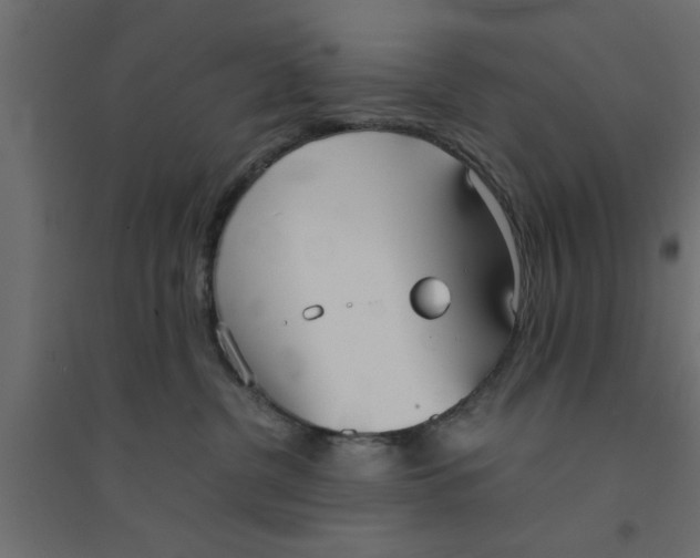 X0000094320380200711241812
