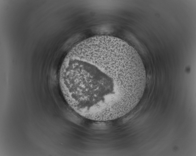 X0000094320381200711241812
