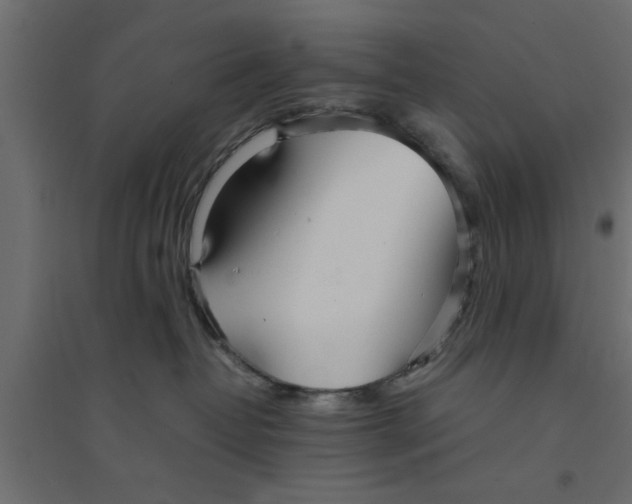X0000094320382200711241812