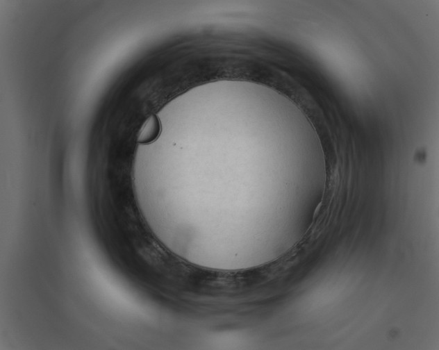 X0000094320383200711241812